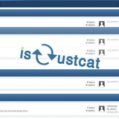 Подробнее о "isCustcat"