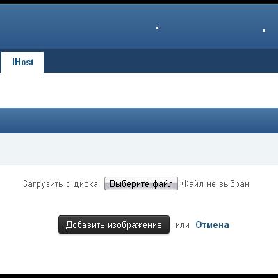 Подробнее о "(DP33) iHost 1.0.3 Rus"