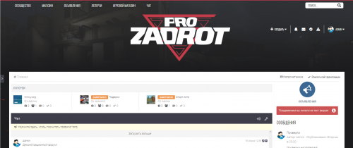 Подробнее о "Zadrot Pro"